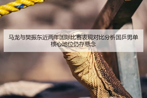 马龙与樊振东近两年国际比赛表现对比分析国乒男单核心地位仍存悬念