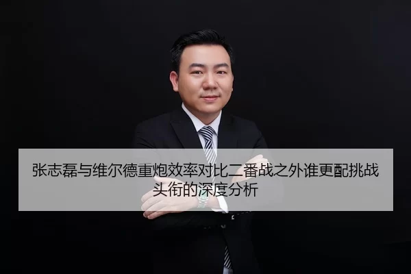 张志磊与维尔德重炮效率对比二番战之外谁更配挑战头衔的深度分析