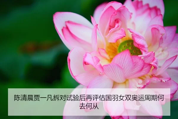 陈清晨贾一凡拆对试验后再评估国羽女双奥运周期何去何从