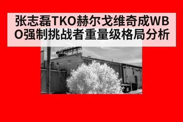 张志磊TKO赫尔戈维奇成WBO强制挑战者重量级格局分析